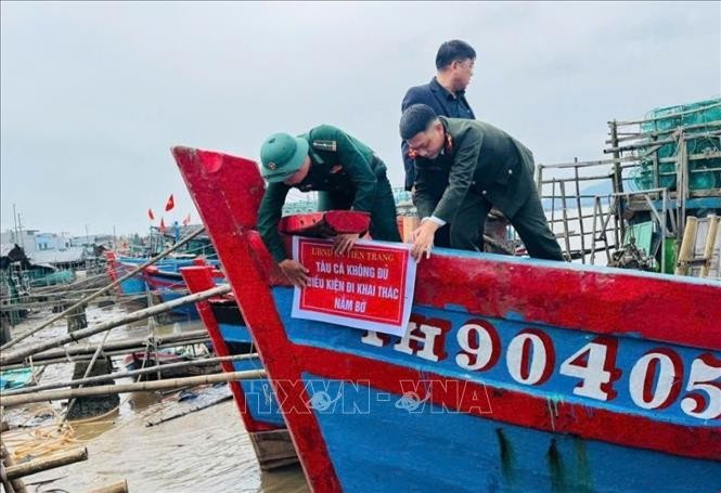 清化省各沿海地区认真同步实施多项预防和打击IUU捕捞的措施。图自越通社