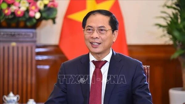 越南外交部长裴青山。图自越通社