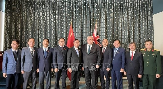 新西兰议会议长格里·布朗利与越南国会国防安全与对外委员会代表团合影。图自越通社
