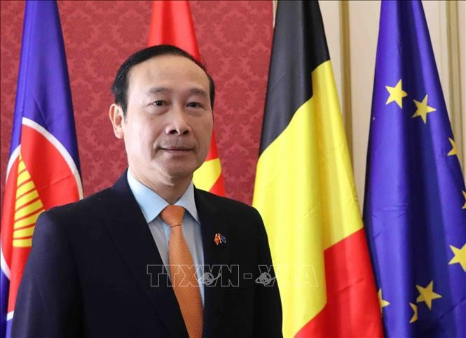 越南驻比利时王国大使、越南驻欧盟代表团团长阮文草。图自越通社
