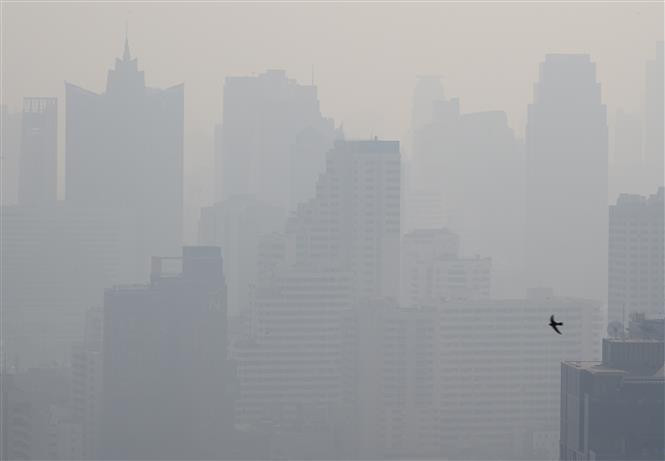 泰国首都曼谷日益严重的空气污染。图自越通社