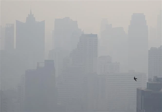 泰国首都曼谷日益严重的空气污染。图自越通社