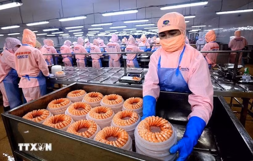 为推动虾业加快出口步伐注入动力。图自越通社