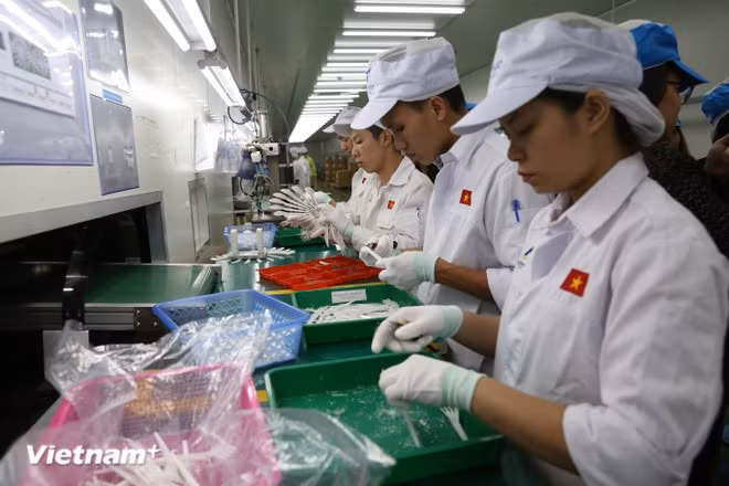 附图 图自越通社