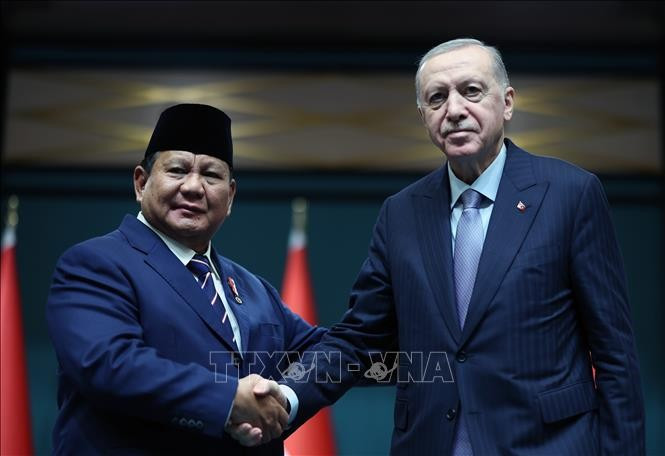 印尼总统普拉博沃·苏比延多与土耳其总统埃尔多安。图自越通社