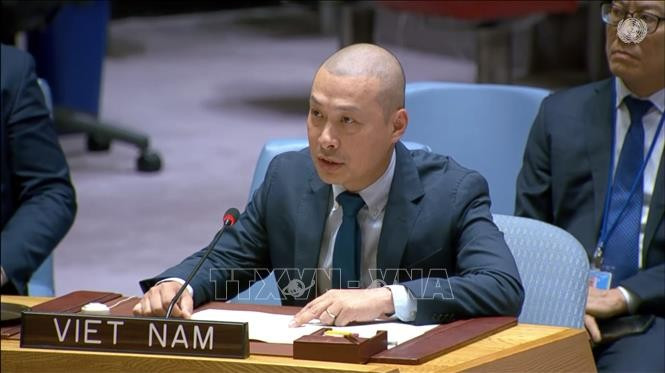 越南呼吁推动加沙实现公正持久和平