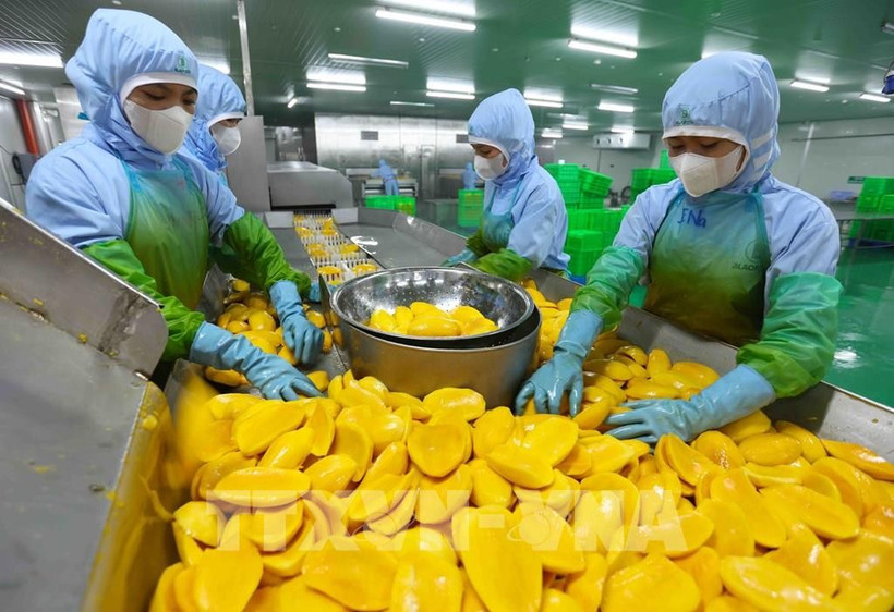 今年3月份，全国果蔬出口达约4亿2058万6000美元，同比减少10.5%。图自越通社