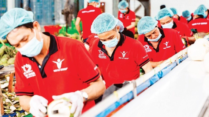 Vina T&T公司正在加工椰子。图自人民报