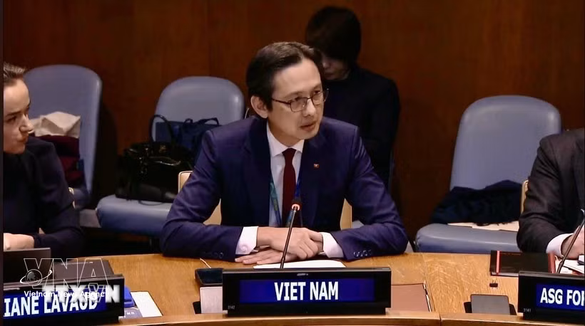 越南常驻联合国代表团团长杜雄越大使。图自越通社