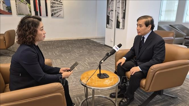 新加坡李光耀公共政策学院教授武明姜（右）接受采访。图自越通社