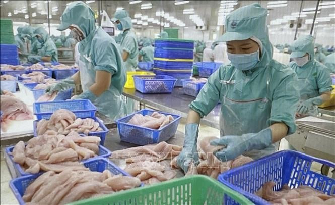 越南水产品在新加坡市场巩固地位，市场份额占有率超10%。图自越通社