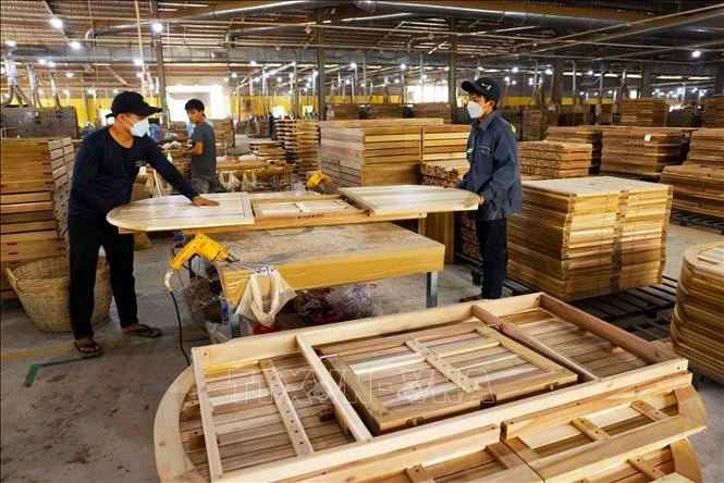 新西兰与越南加强木材出口合作。图自越通社