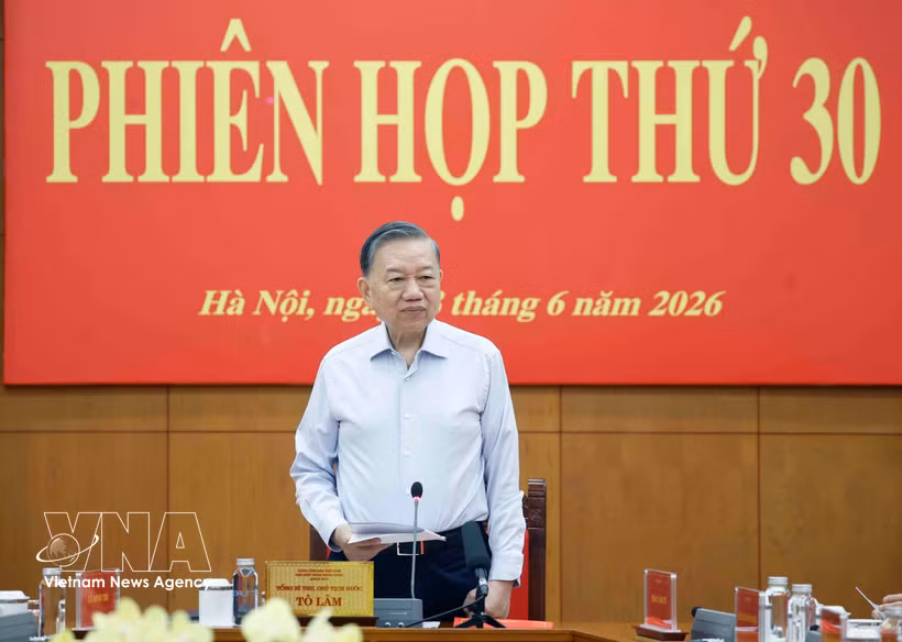 越共中央总书记、国家主席苏林发表讲话。图自越通社