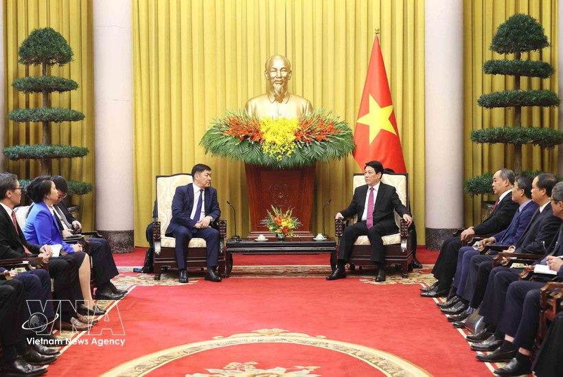 越南国家主席梁强会见蒙古国最高法院院长甘佐里格·丹丁。图自越通社