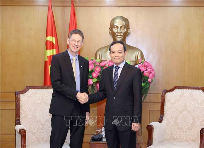 中央政策战略委员会主任陈流光会见AES（越南）公司董事长。图自越通社