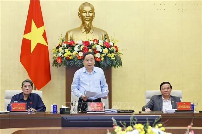 国会主席陈清敏发言。图自越通社