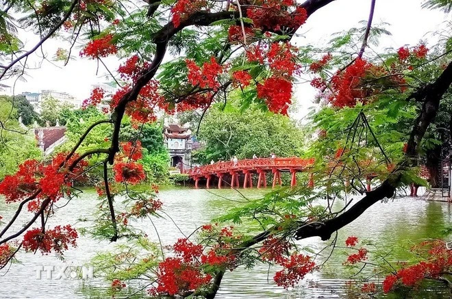 河内还剑湖美景。图自越通社