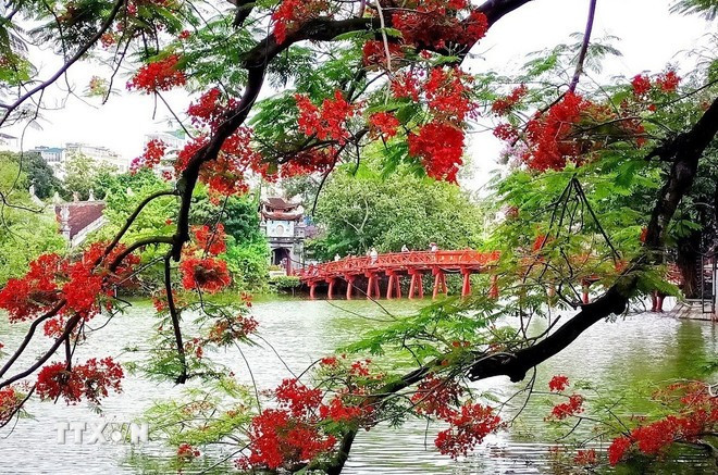 河内还剑湖美景。图自越通社