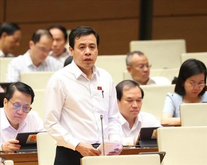 胡志明市国会代表陈英俊。图自越通社
