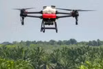无人机（UAV）和遥控潜水器（ROV）等多项新技术在实践中得到应用。图自越通社
