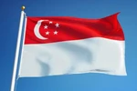 新加坡的国旗。图自互联网
