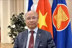 越南驻法国大使丁全胜。图自越通社