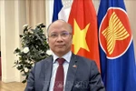 越南驻法国大使丁全胜。图自越通社
