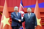 越共中央总书记苏林和朝鲜劳动党总书记、国务委员会委员长金正恩。图自越通社