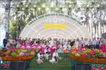 胡志明市友好组织联合会（HUFO）15日上午举办题为“2025年友好交流”的文艺交流活动。图自越通社