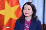 越南外交部副部长阮明姮。图自越通社