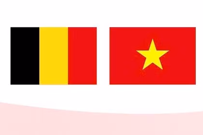 越南与比利时王国关系发展良好