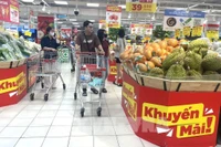 资料图：在胡志明市的经济结构中，商贸—服务业始终占据较高比重。图自越通社