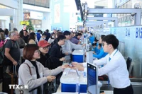 内排国际机场春运期间旅客吞吐量创新纪录。图自越通社