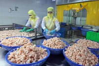 资料图。图自越通社