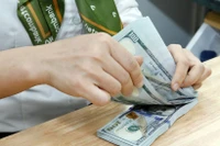 资料图。图自越通社