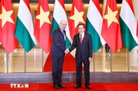 2025年5月28日下午，越南国会主席陈清敏在国会大厦会见了正对越南进行正式访问的匈牙利总统舒尤克·道马什。图自越通社