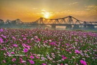 河内的文化与历史象征——龙边桥之美。图自越通社