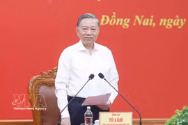 越共中央总书记、国家主席苏林在会议上发表讲话。图自越通社