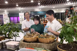 玉灵参及其产品展示区。图自越通社