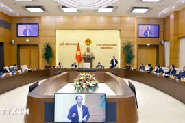 12月24日上午，国会常务委员会审议了2025年11月国会民意工作报告。图自越通社
