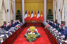越南国家主席梁强与法国总统埃马纽埃尔·马克龙举行会谈。图自越通社