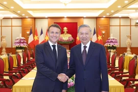 越共中央总书记苏林会见法国总统马克龙。图自越通社