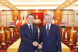 越共中央总书记苏林会见法国总统马克龙。图自越通社