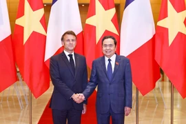 越南国会主席陈青敏与法国总统马克龙。图自越通社