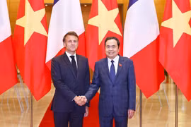 越南国会主席陈青敏与法国总统马克龙。图自越通社