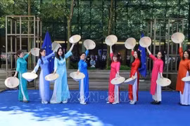 越南传统奥黛表演。图自越通社