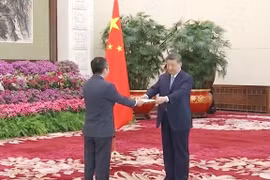 越南驻华大使范清平向中国国家主席习近平递交国书。图自越通社