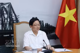 越南政府副总理胡国在会议上发表讲话。图自越通社