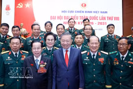 越共中央总书记、国家主席、中央军委书记苏林同各位代表合影。图自越通社
