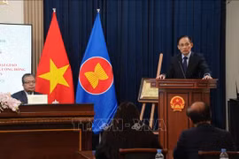 越共中央总书记苏林特使、越共中央政治局委员、越南外交部长黎怀忠通报越南共产党第十四次全国代表大会的成果。图自越通社